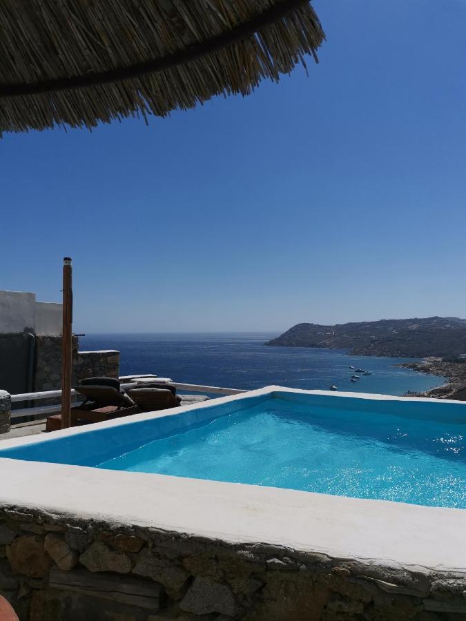 Villa Viktoria In Elia Beach, Mykonos Mykonos Town Exteriör bild
